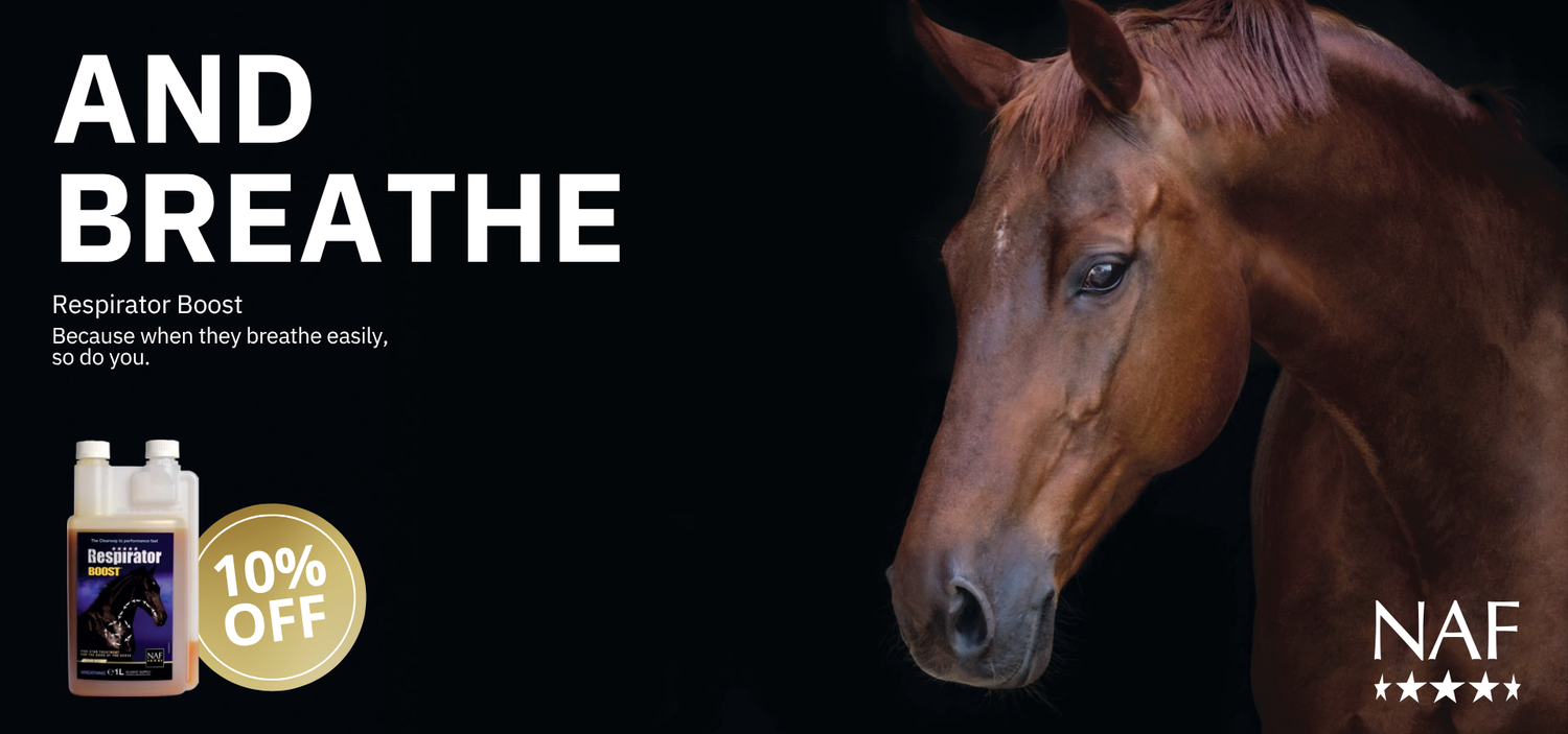 TRI Equestrian