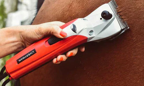 Grooming Kit Must Haves 2024