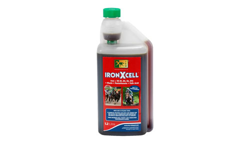 Horse Health Supplements: Boost Performance