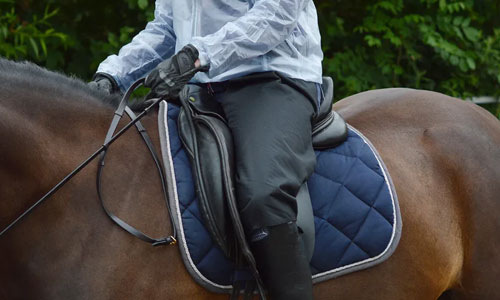 Form Riding Equipment From Helmets to Saddle pads: The Must-Have Horse Riding Equipment for ...