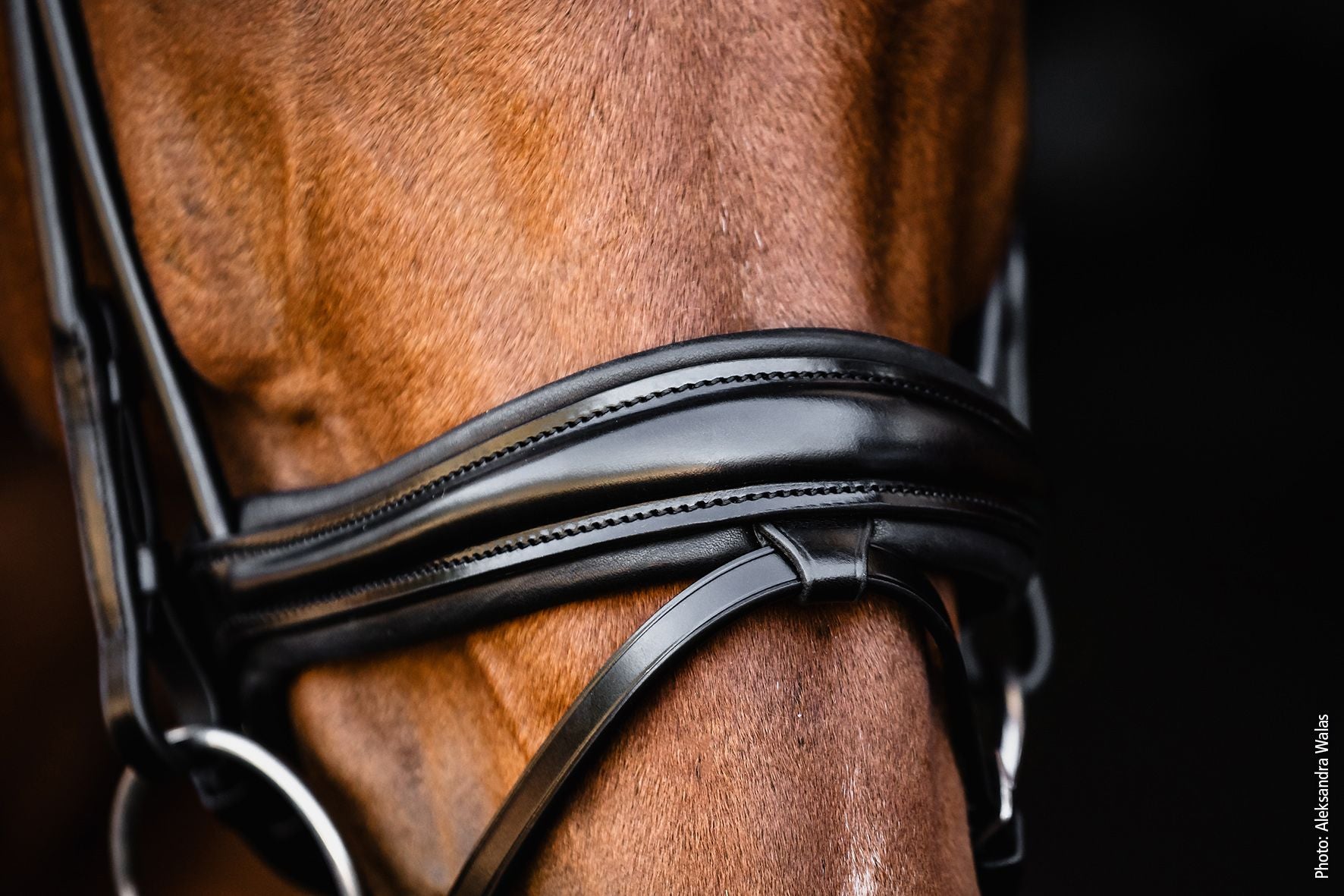 Schockemöhle Sports Isabell Werth Satchmo Rolled Leather Crank Bridle - Black