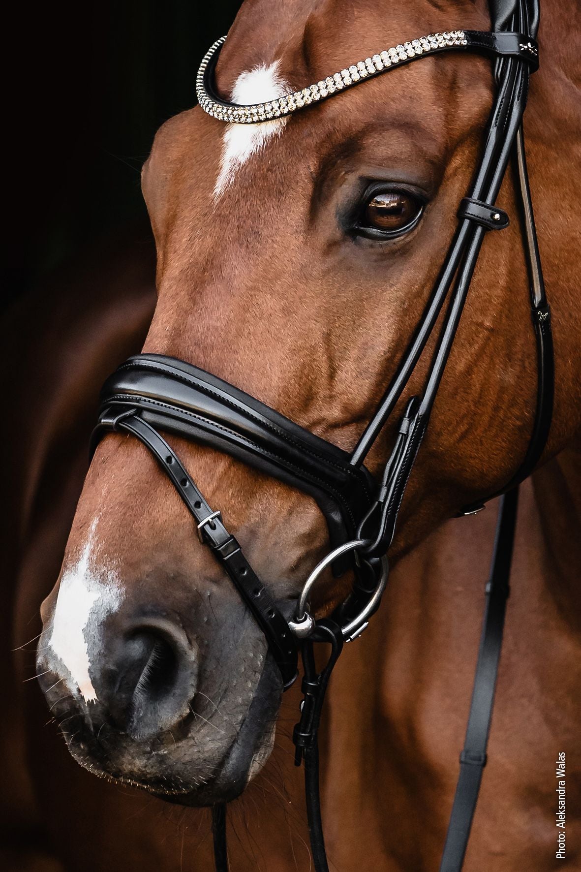 Schockemöhle Sports Isabell Werth Satchmo Rolled Leather Crank Bridle - Black