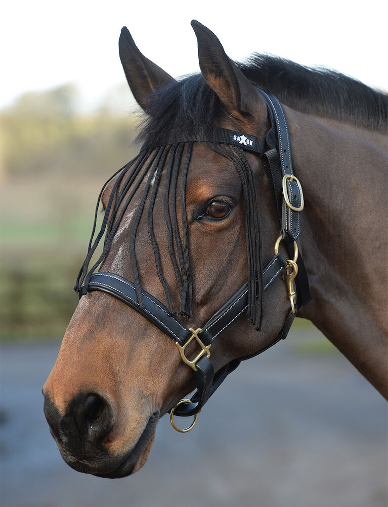 Saxon Fly Fringe Pony Size