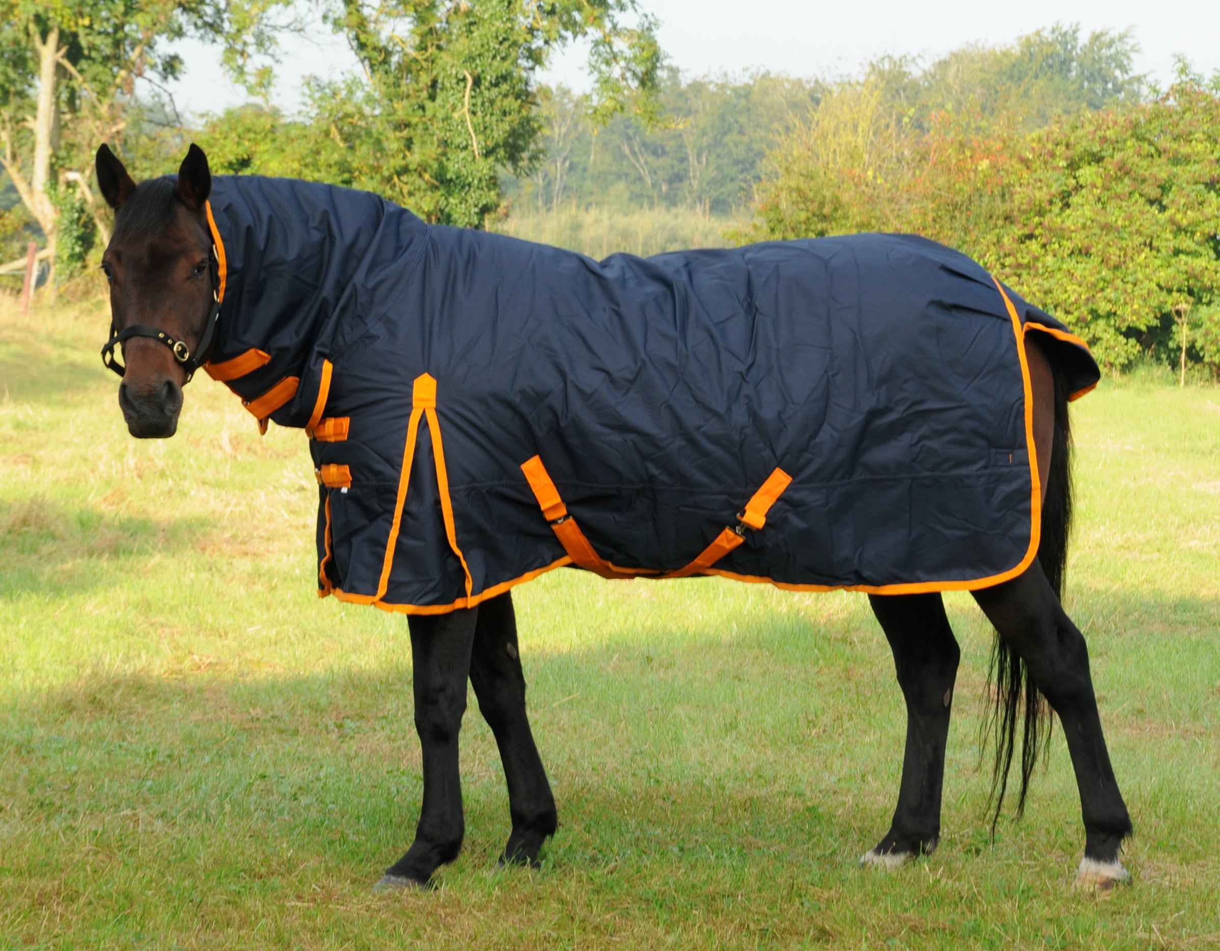 TRI Arkle Full Neck Heavyweight Turnout Rug - 350g