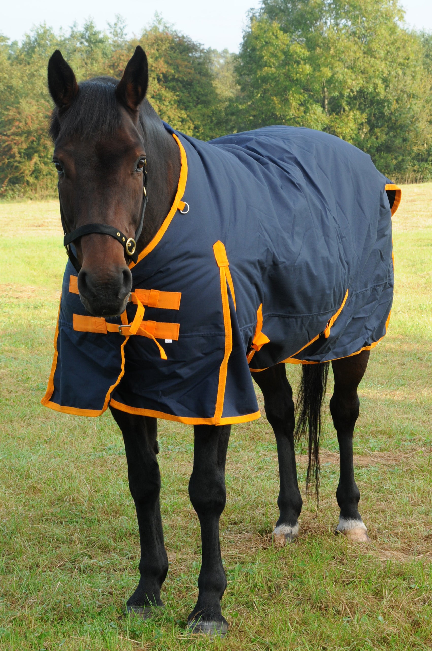 TRI Arkle Standard Neck Heavy Weight Turnout 350g