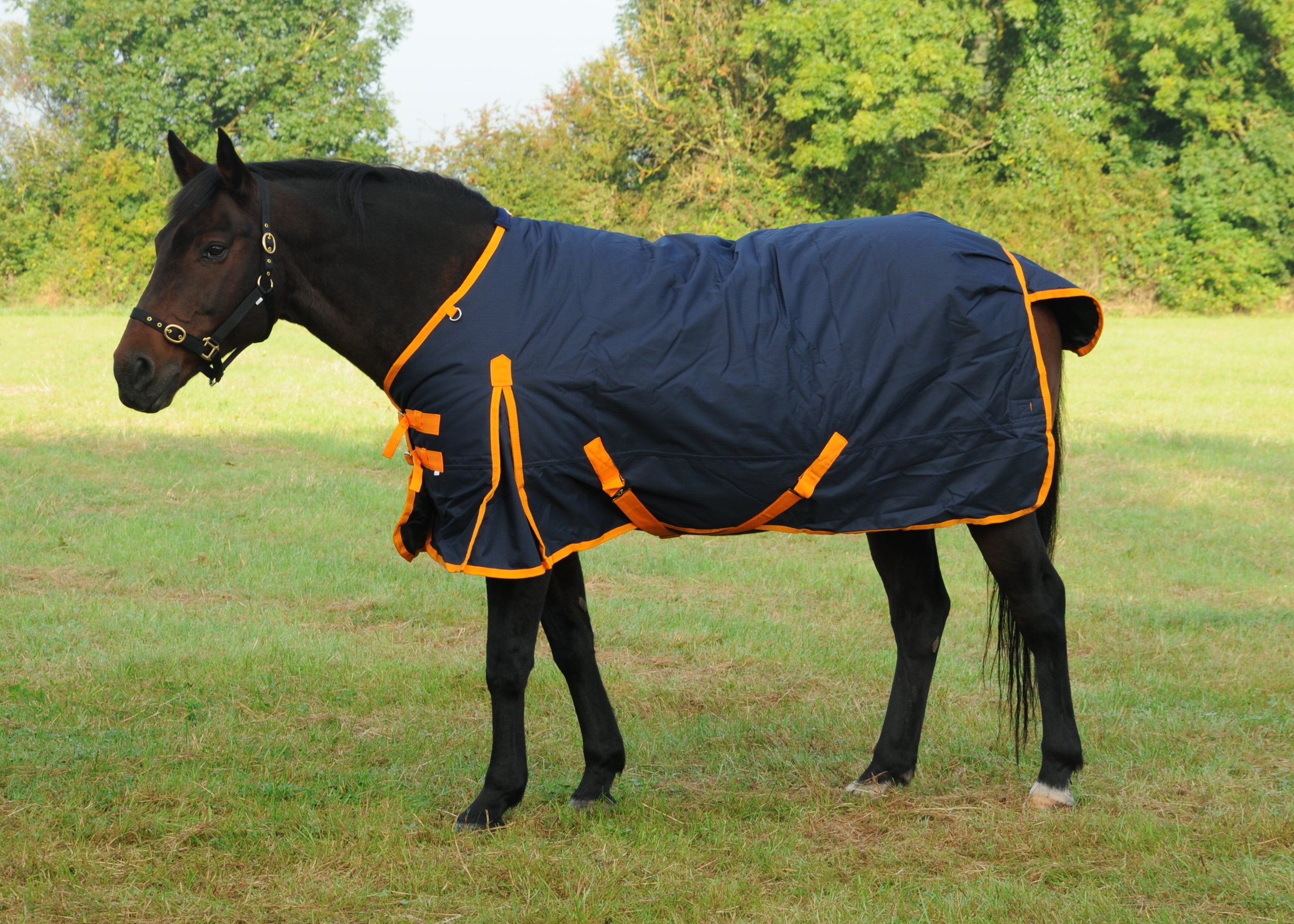 TRI Arkle Standard Neck Heavy Weight Turnout 350g