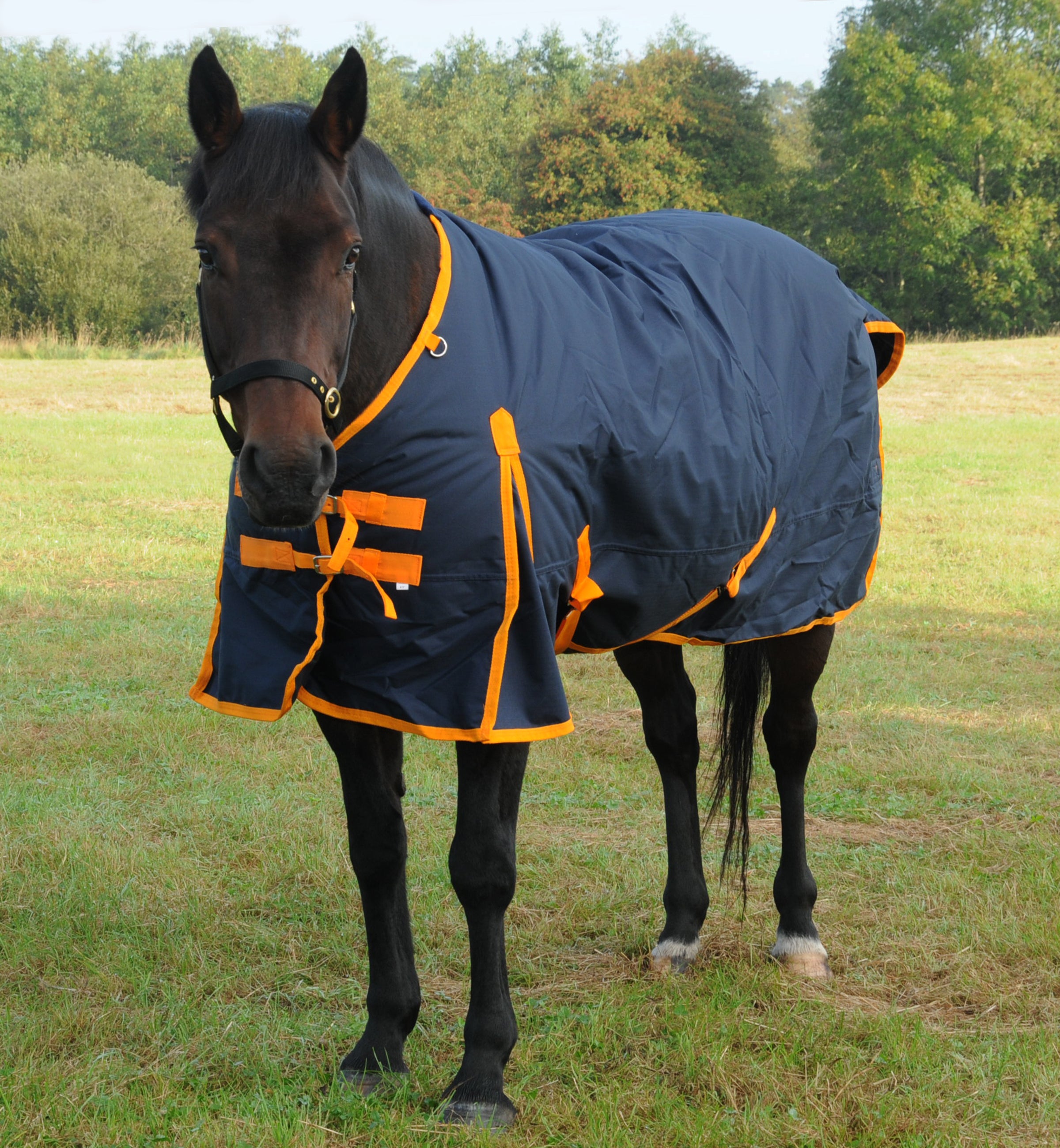TRI Arkle Standard Neck Heavy Weight Turnout 350g