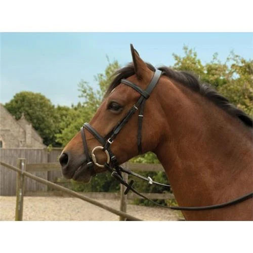 Windsor Flash Bridle
