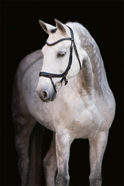 Schockemöhle Equitus Alpha Bridle - Black