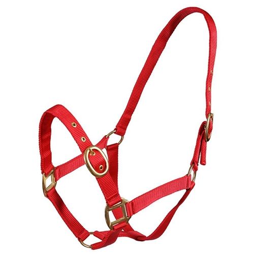 Turfmasters Nylon Halter – Foal & Weanling