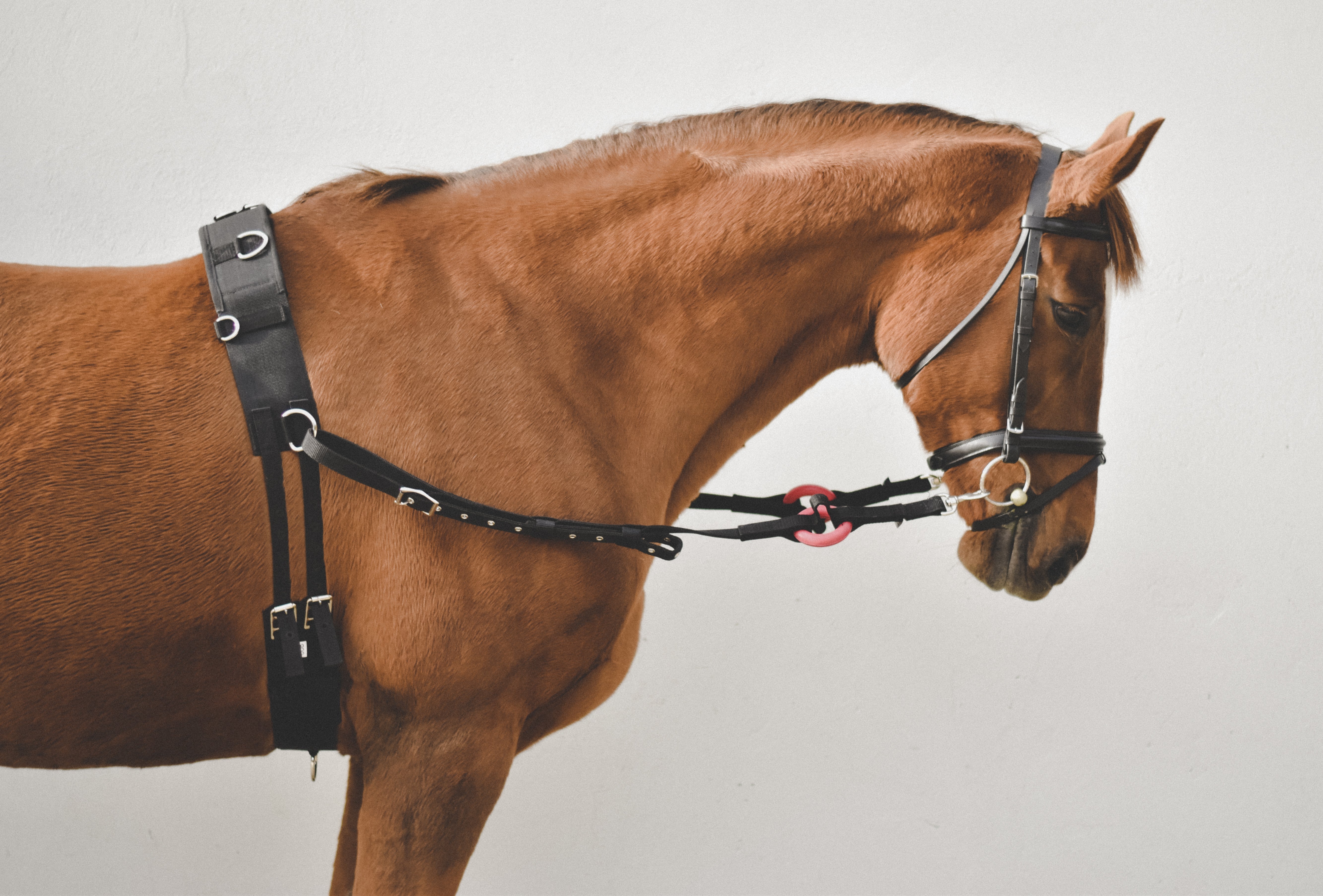 Nylon Side Rein W/Rubber Ring