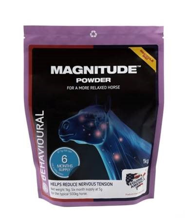 Magnitude Powder - 1 kg