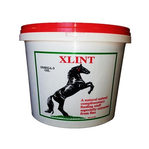 Xlint