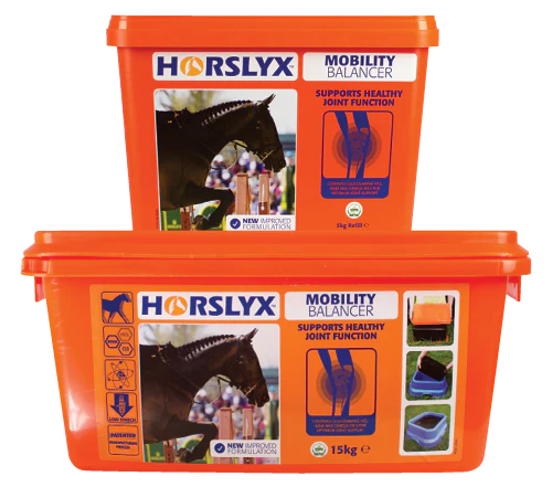 Horslyx Garlic Horse Lick - 15kg