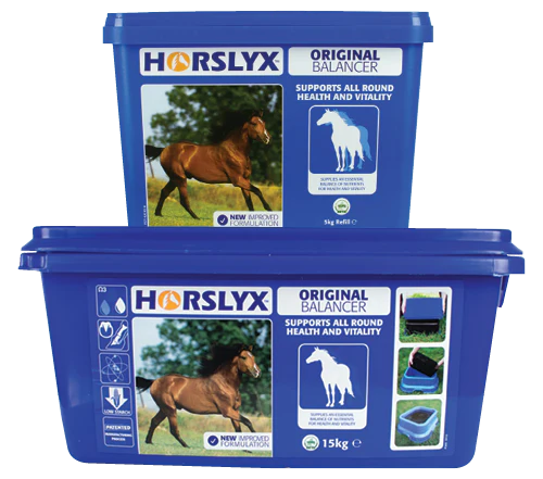 Horslyx Garlic Horse Lick - 15kg