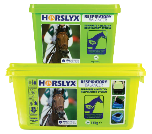 Horslyx Garlic Horse Lick - 15kg