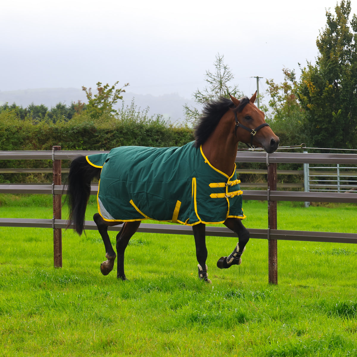 Turfmasters Vortex Heavyweight Standard Neck Turnout Rug - 350g - Green