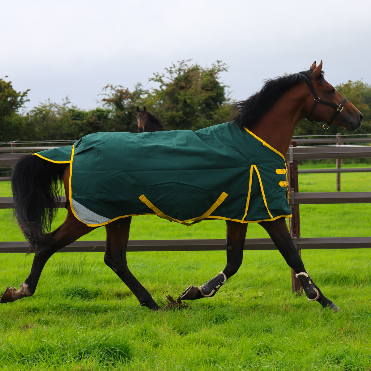 Turfmasters Vortex Heavyweight Standard Neck Turnout Rug - 350g - Green