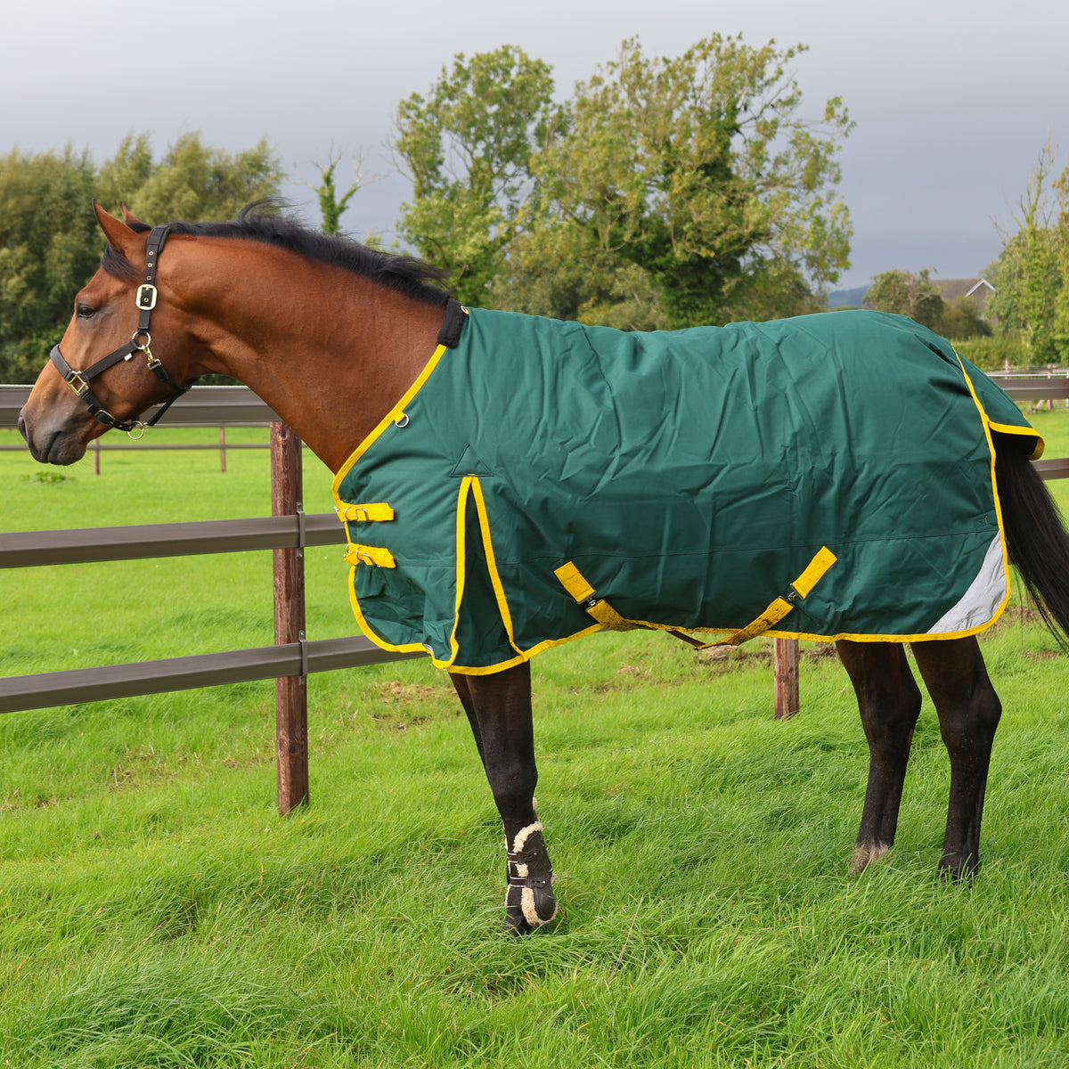 Turfmasters Vortex Heavyweight Standard Neck Turnout Rug - 350g - Green