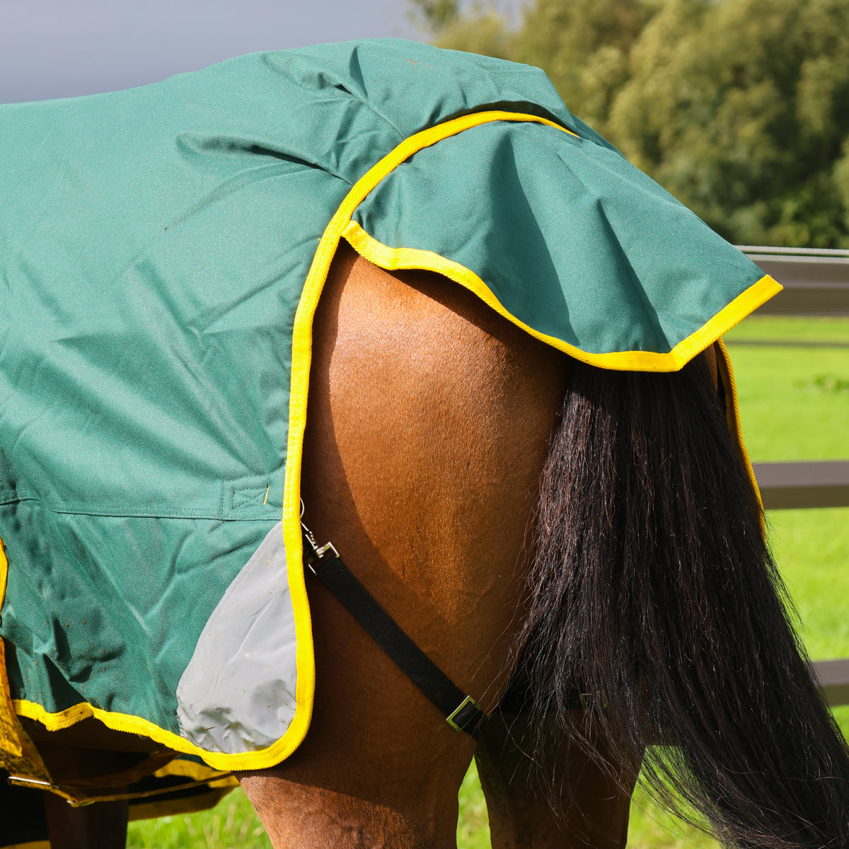 Turfmasters Vortex Heavyweight Standard Neck Turnout Rug - 350g - Green