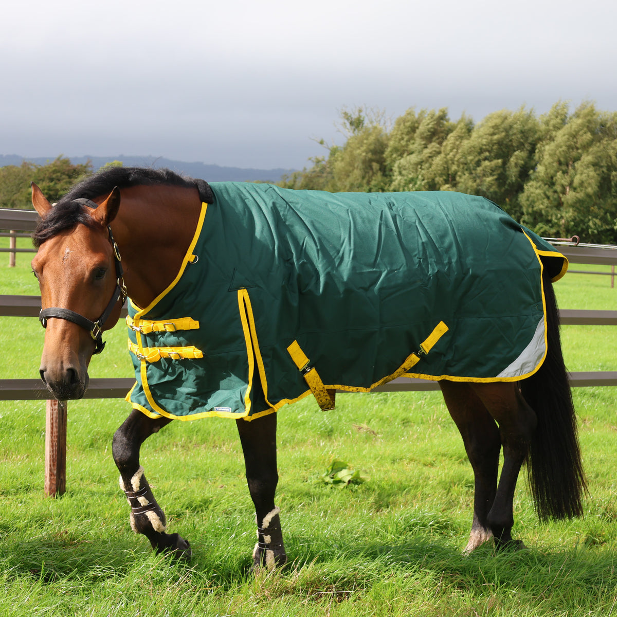 Turfmasters Vortex Heavyweight Combo Turnout Rug - 350g - Green