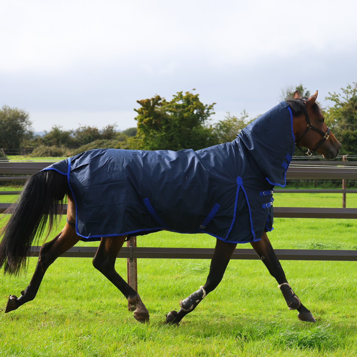 TRI Arkle 100g Full Neck Turnout Rug - Navy-Blue