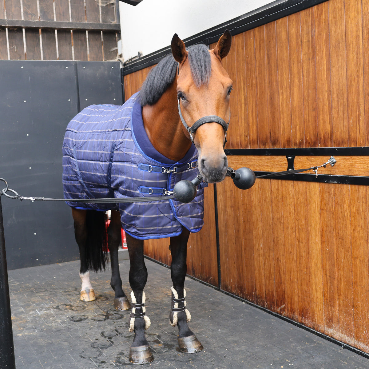 Turfmasters Comfort Quilt Stable Rug - 300g - Navy - Check