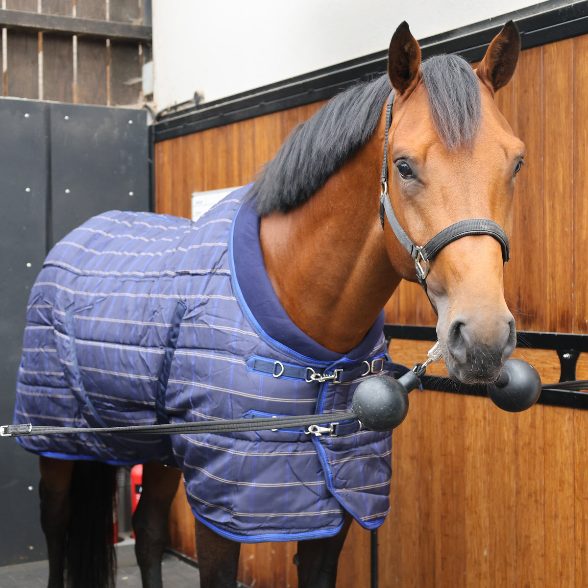 Turfmasters Comfort Quilt Stable Rug - 300g - Navy - Check
