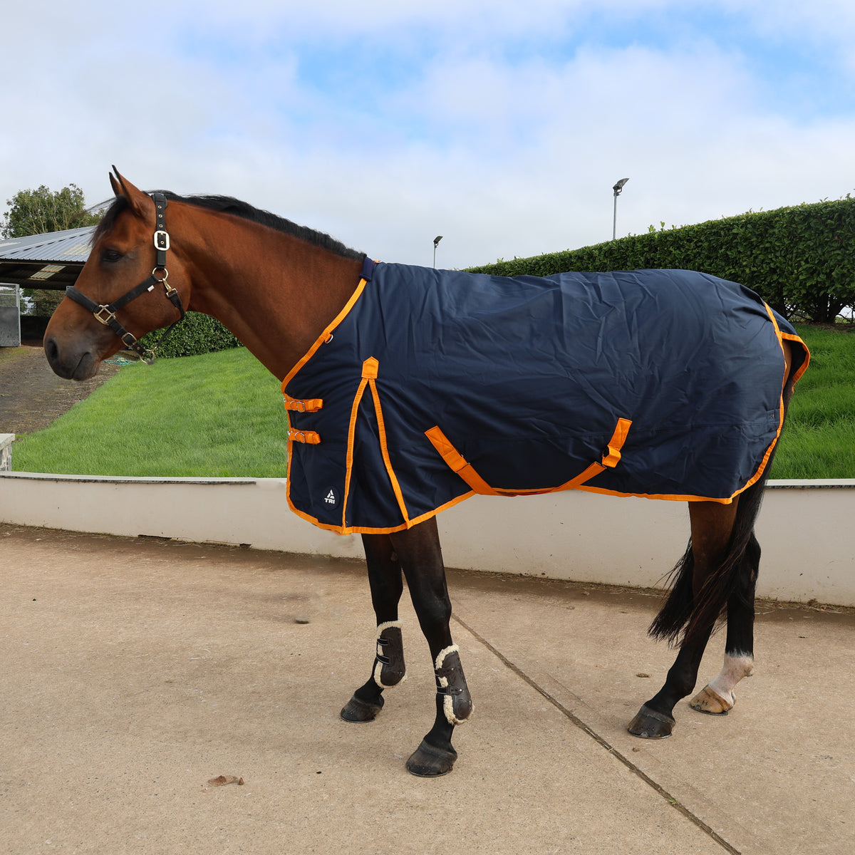 TRI Arkle 350g Standard Neck Turnout Rug - Navy-Blue