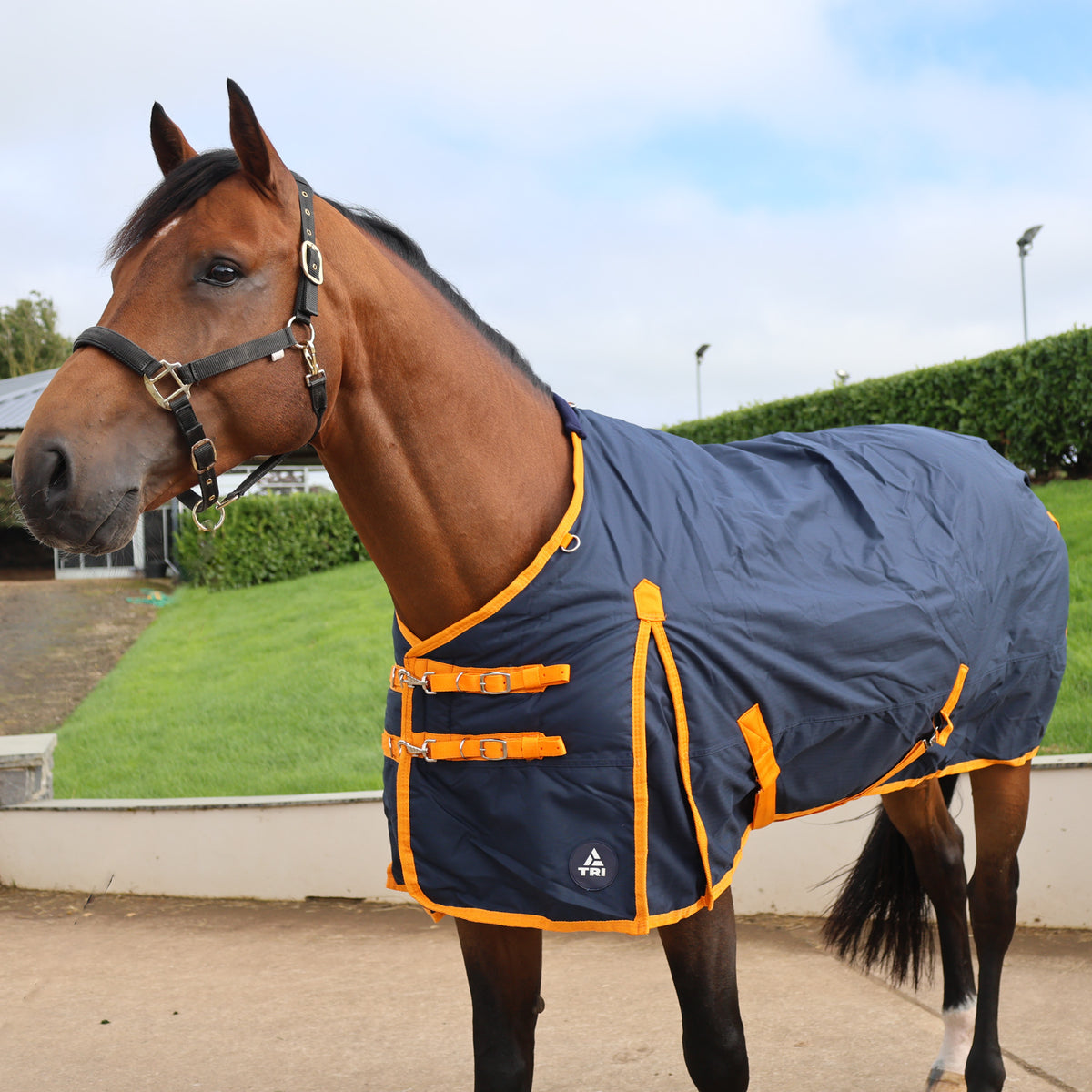 TRI Arkle 350g Standard Neck Turnout Rug - Navy-Blue