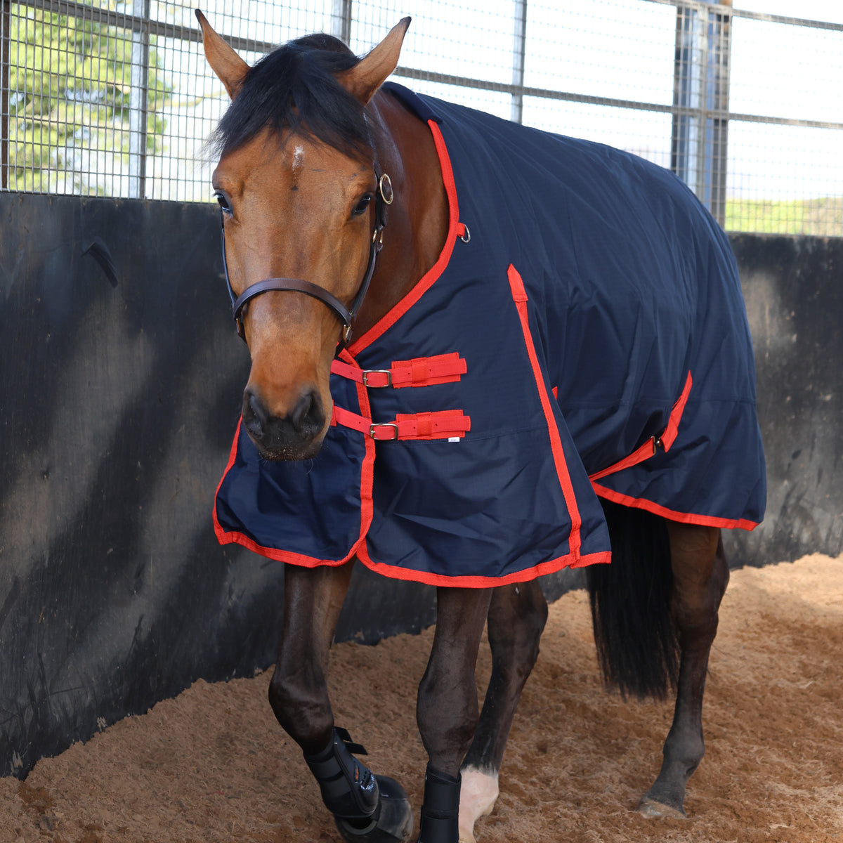 TRI Arkle 200g Standard Neck Turnout Rug