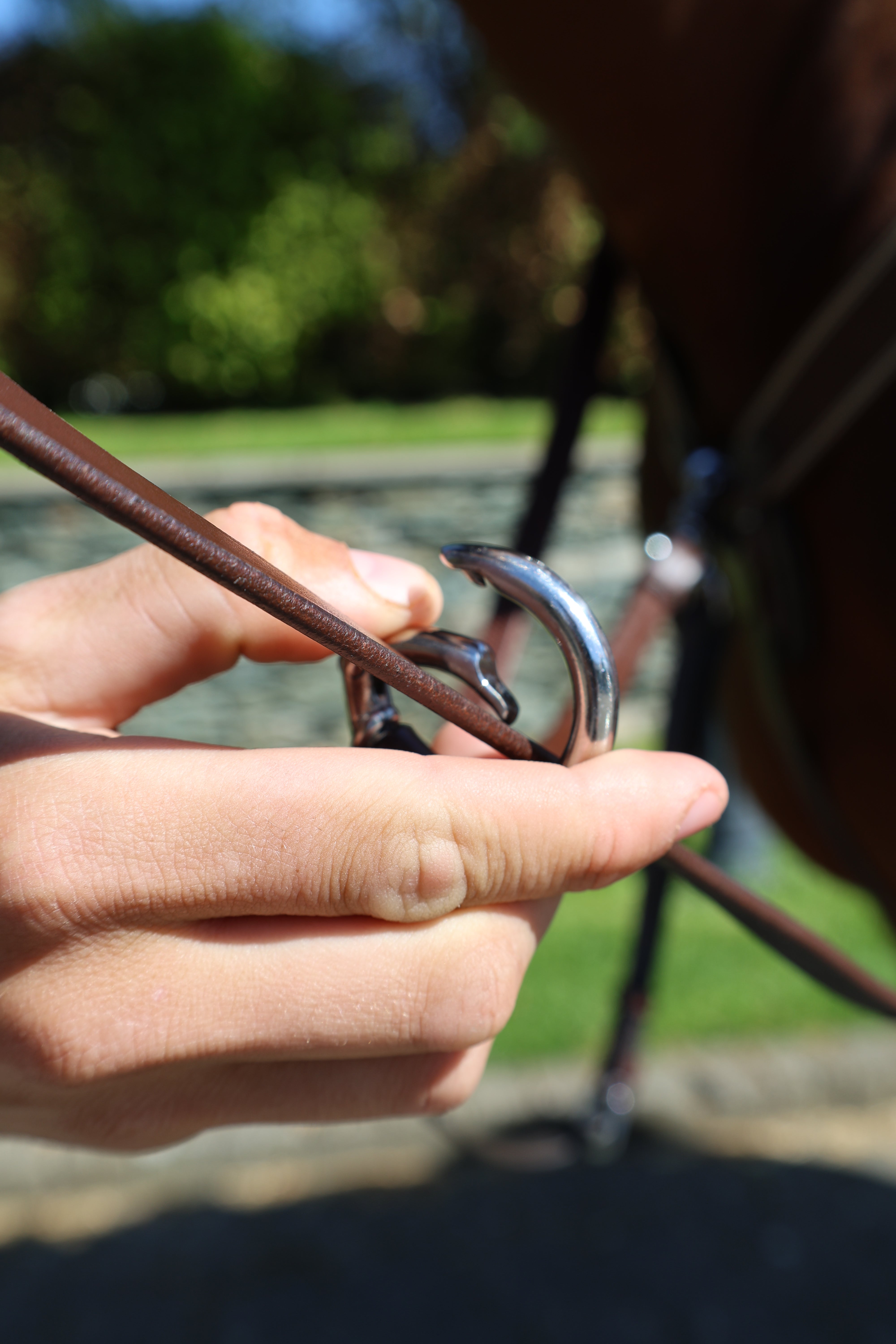 Tesoro Ergonomic Leather 3-Point Breastplate