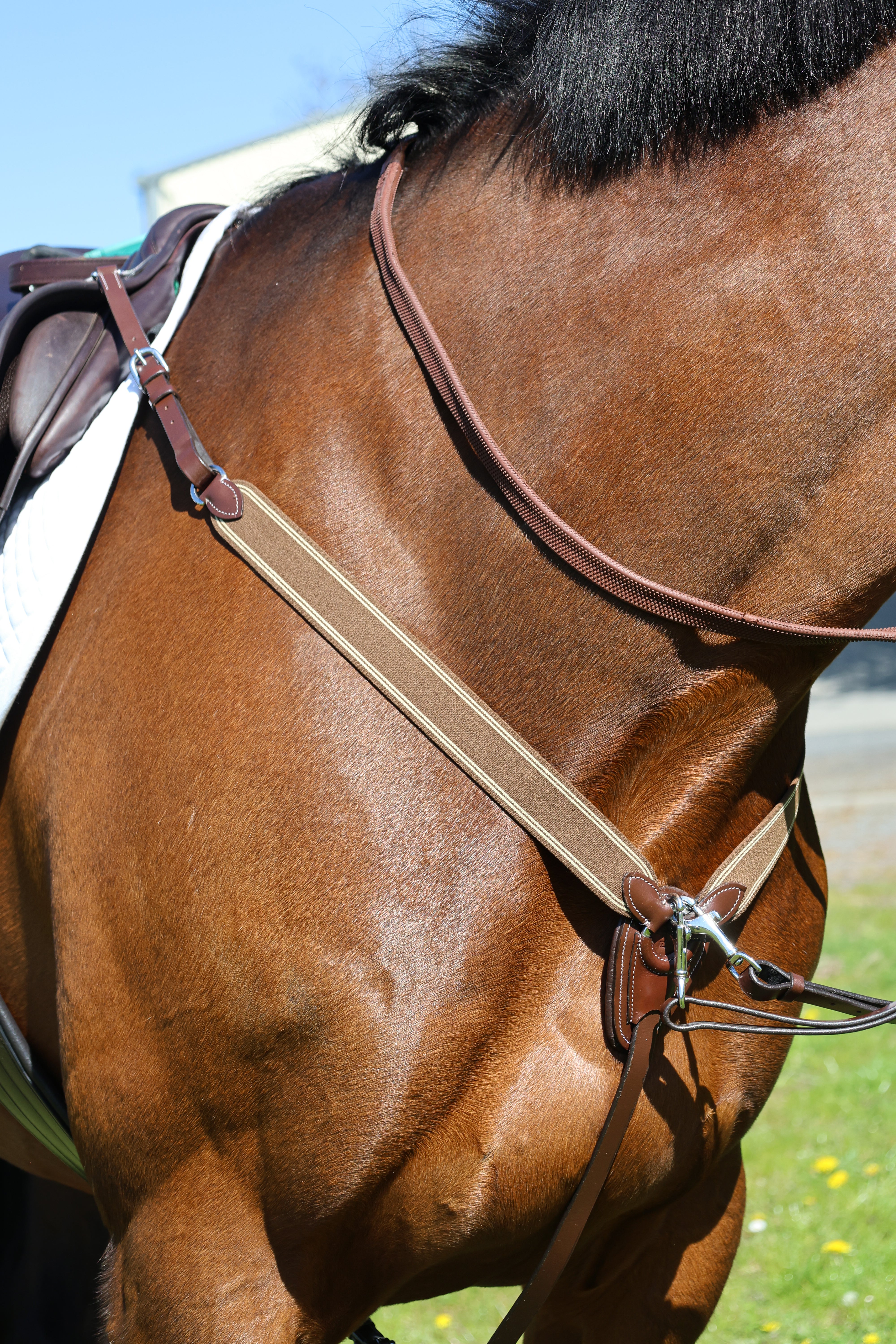 Tesoro Ergonomic Leather 3-Point Breastplate