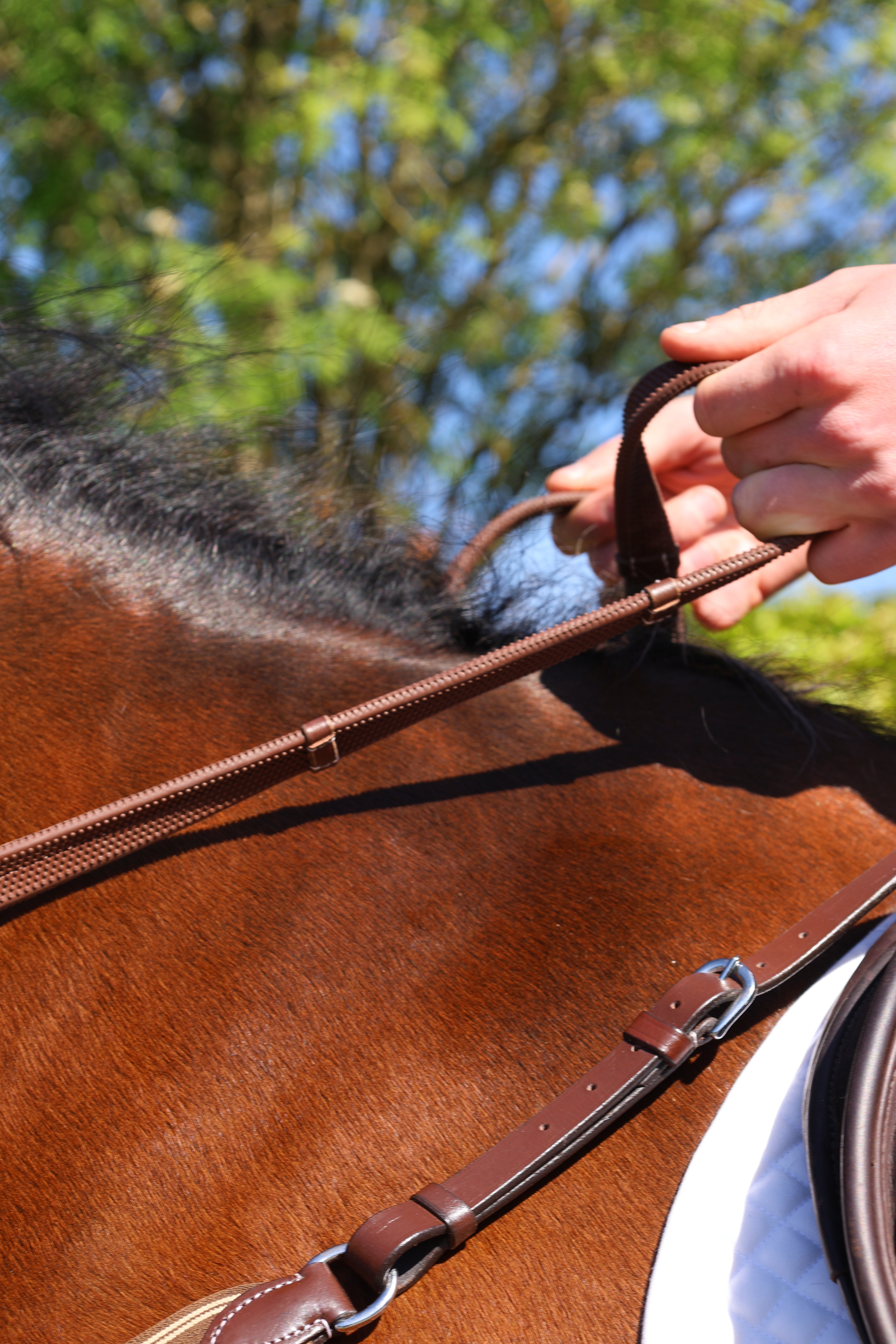 Tesoro Rubber Reins