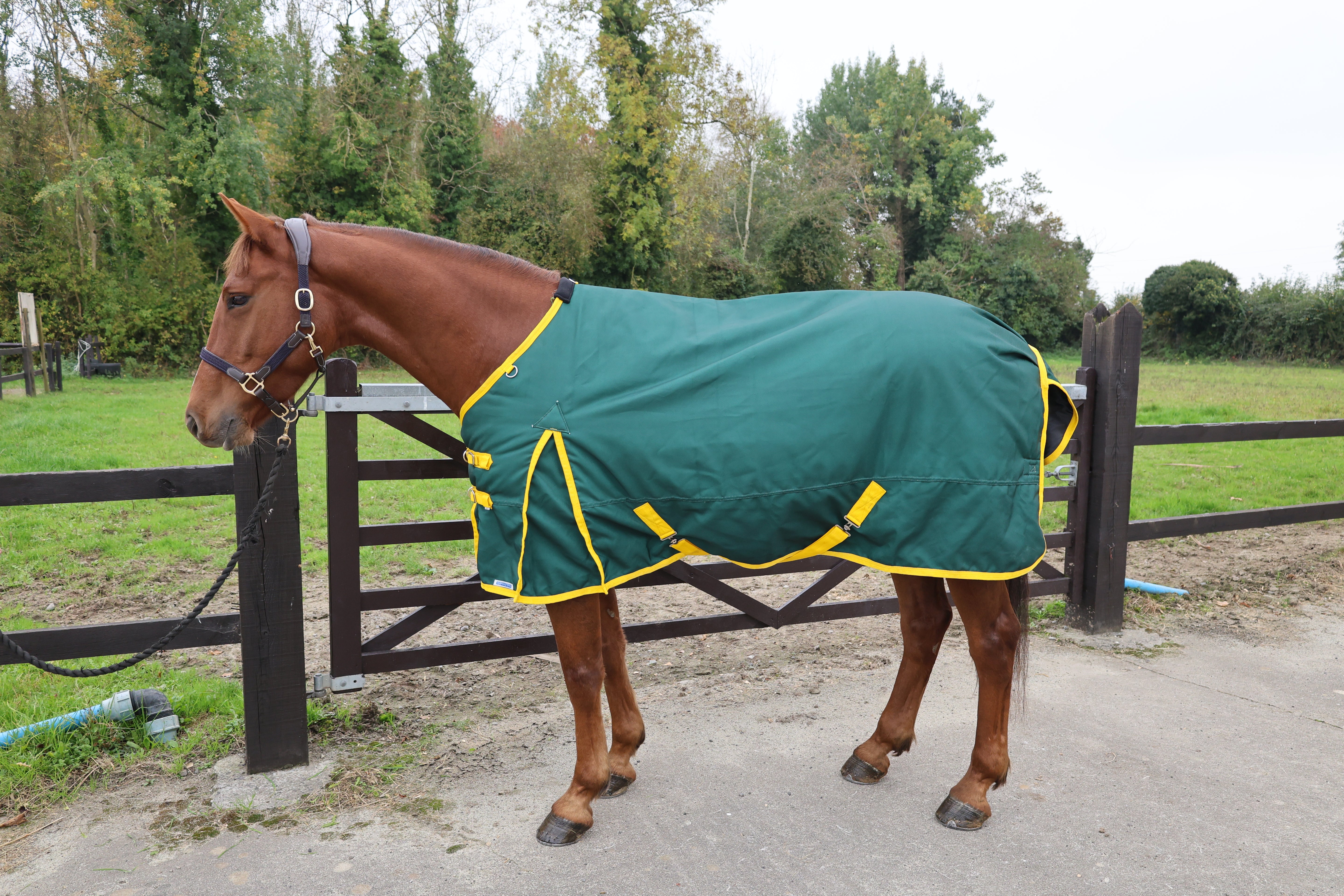 Turfmasters Vortex Heavyweight Standard Neck Turnout Rug - 350g - Green