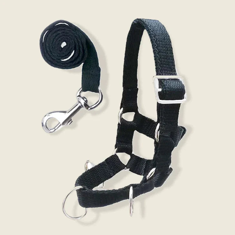 Crafty Ponies Lunge Set Black