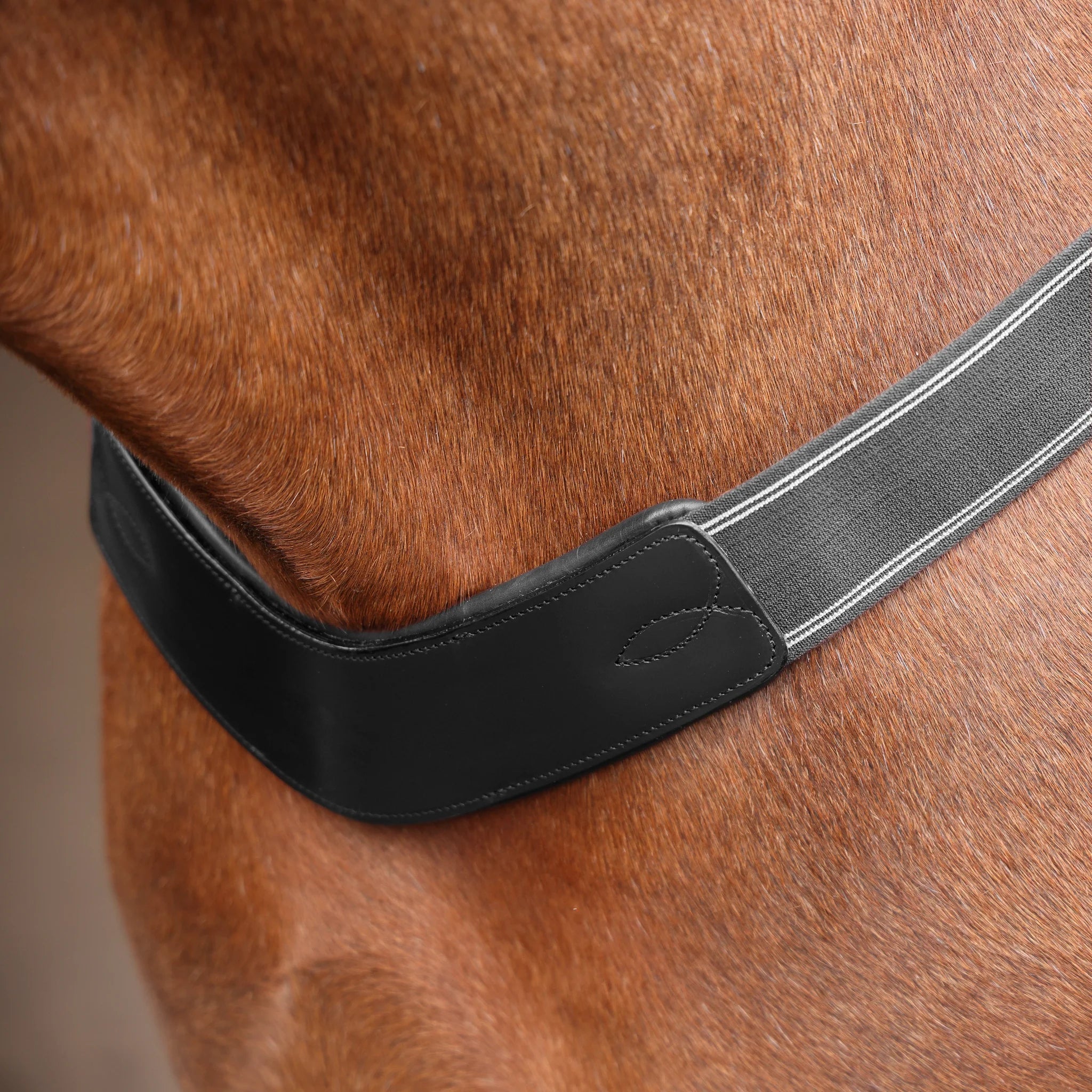 Velociti Rapida Elastic Breastgirth