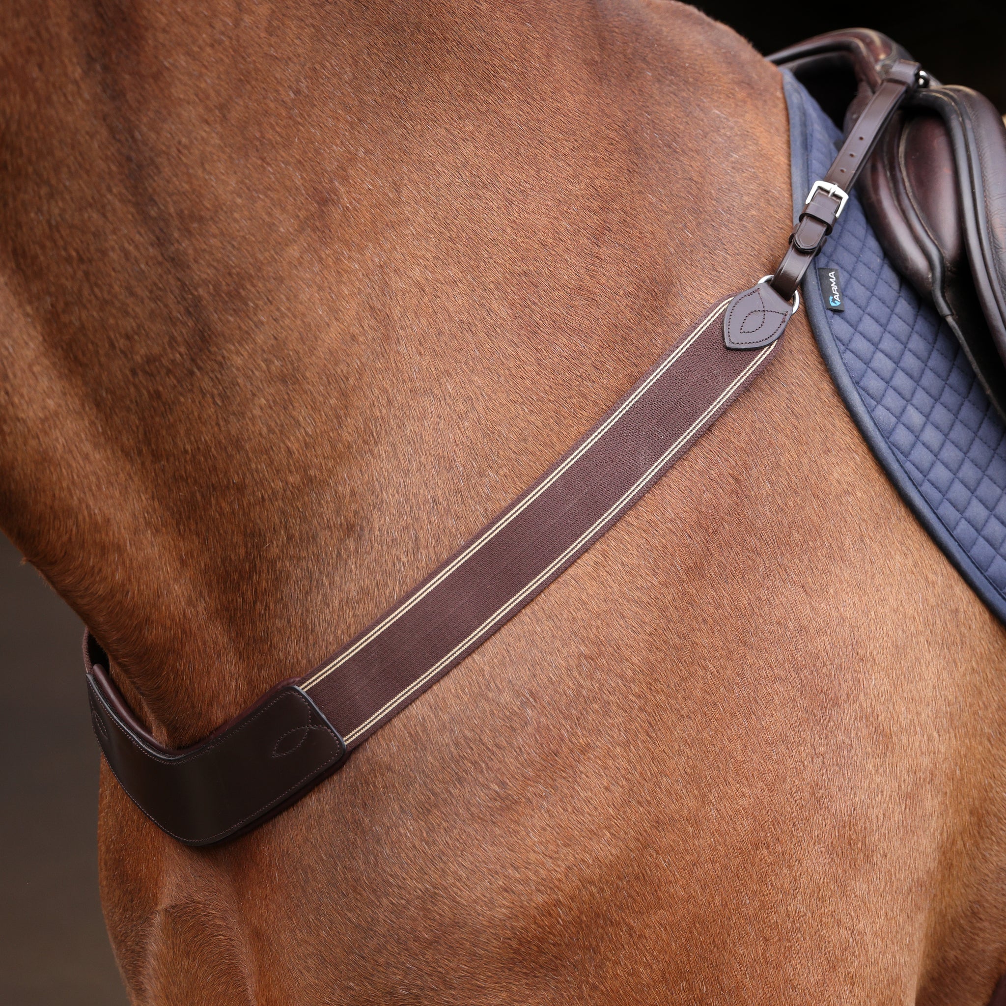 Velociti Rapida Elastic Breastgirth