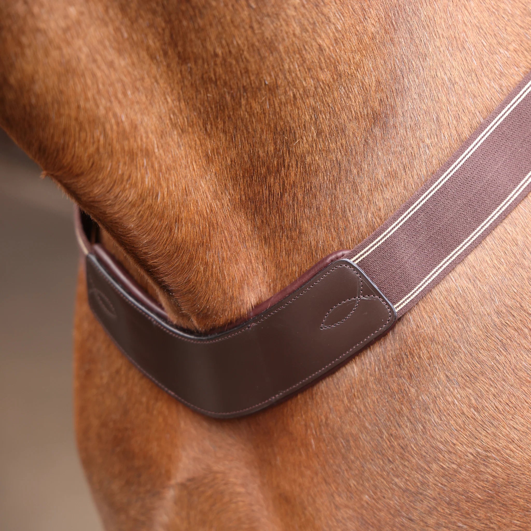 Velociti Rapida Elastic Breastgirth
