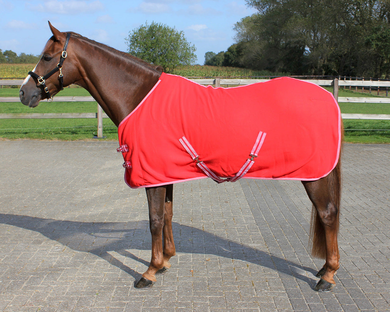 QHP Fleece Rug