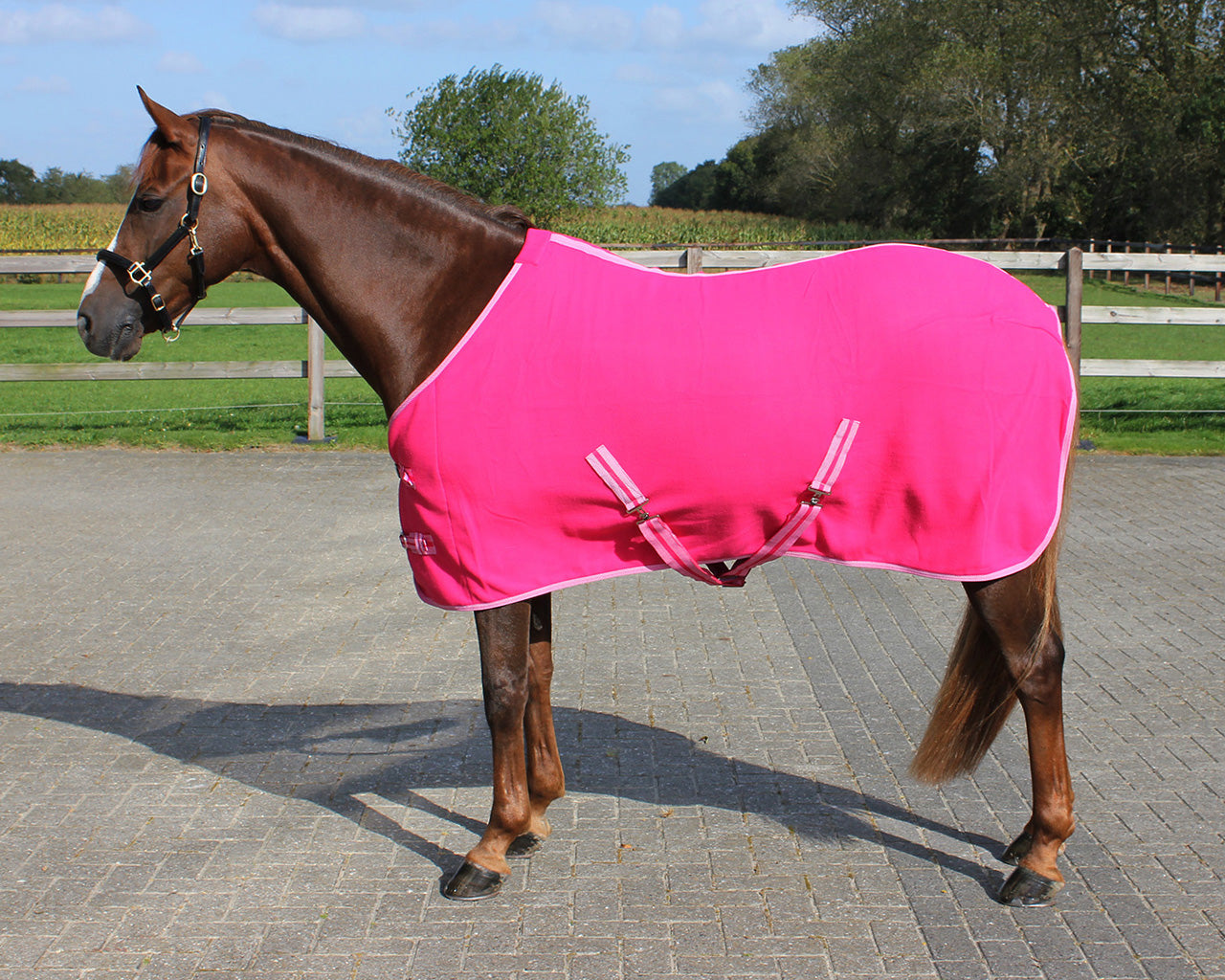 QHP Fleece Rug