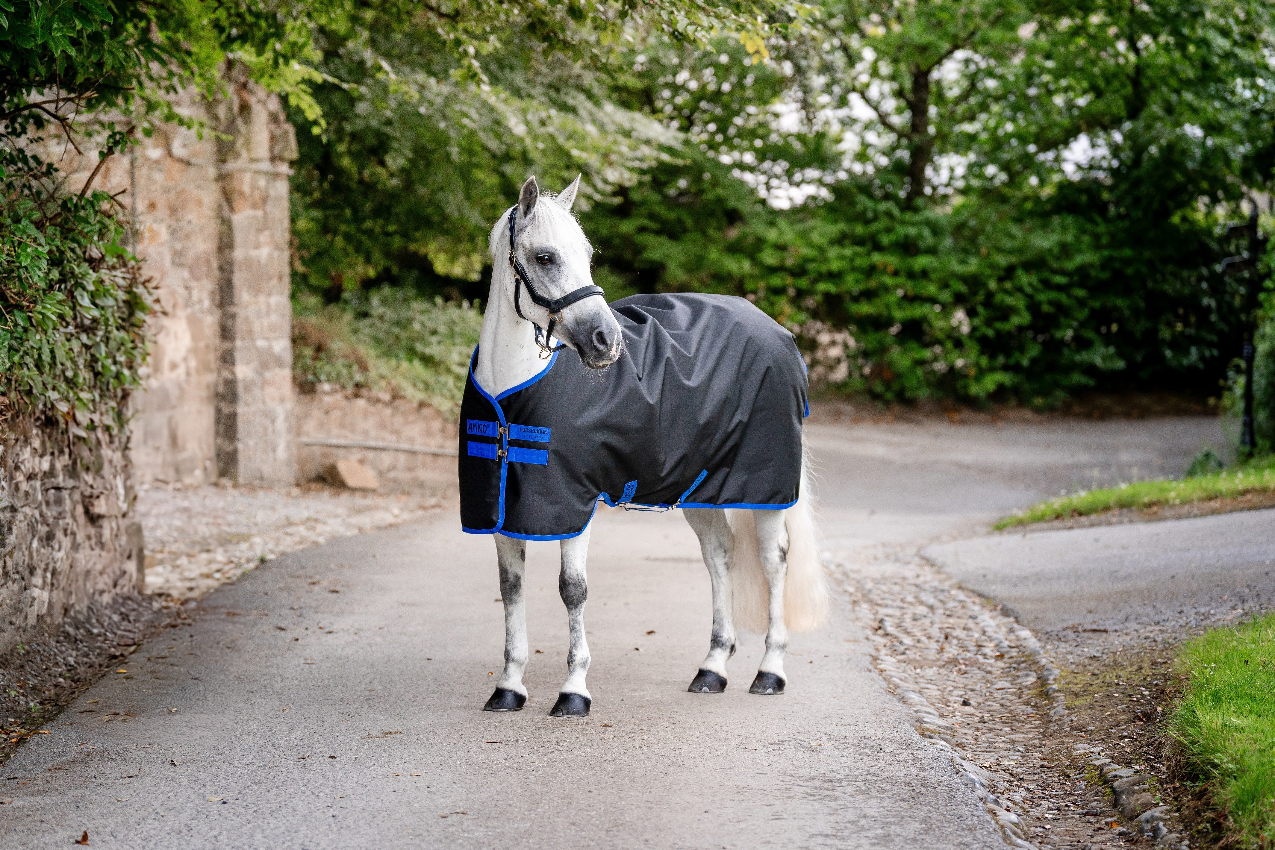 Amigo Horseware Ripstop 900D Foal Lightweight 50g Turnout Rug - Black/Blue