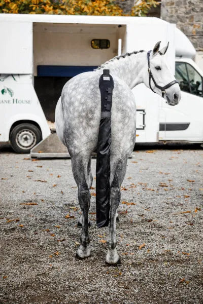 Horseware Tail Guard & Bag - Black