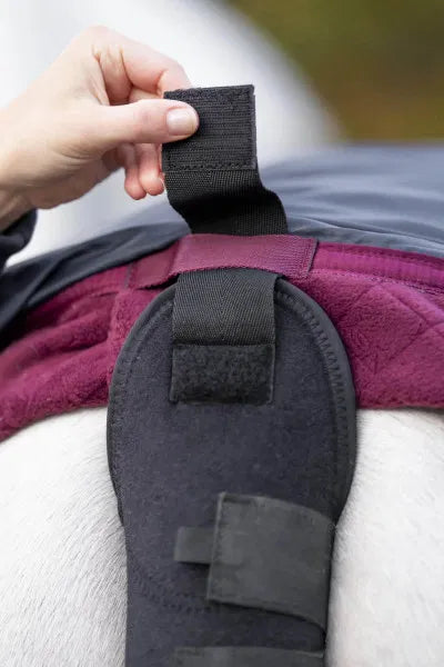 Horseware Tail Guard & Bag - Black