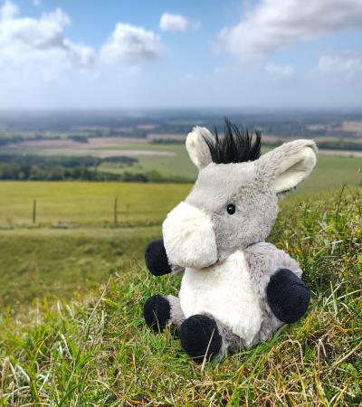 All Creatures Large - Donkey Cleo