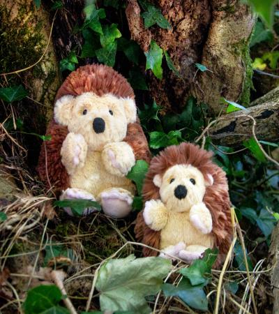 All Creatures Medium - Hedgehog April