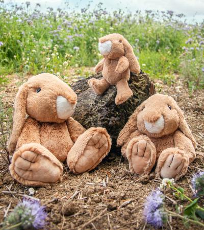 All Creatures Large - Rabbit Rosie