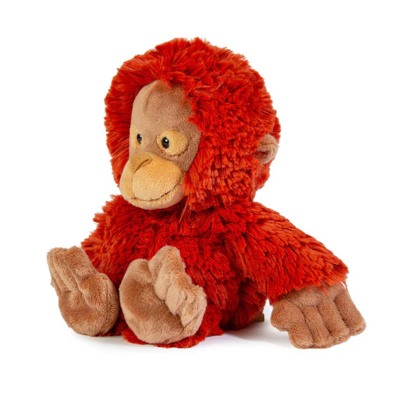 All Creatures Medium - Orangutan Maximus