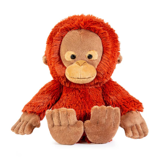 All Creatures Medium - Orangutan Maximus