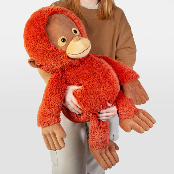 All Creatures XLarge - Orangutan Maximus